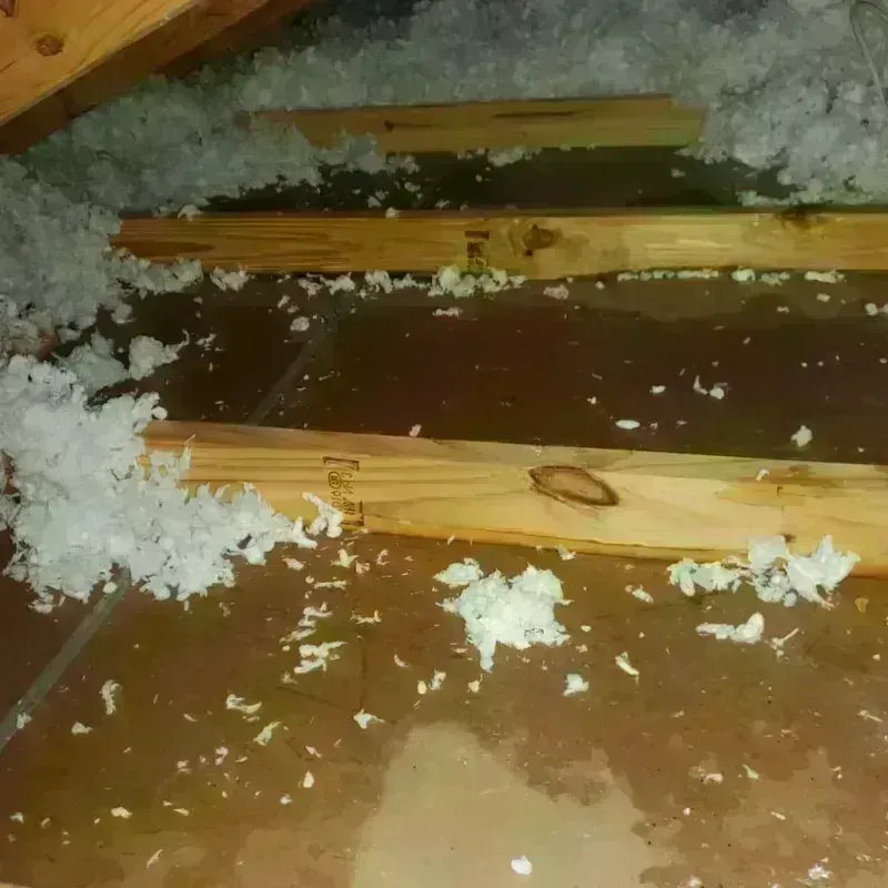 Attic Water Damage in Chippewa County, WI